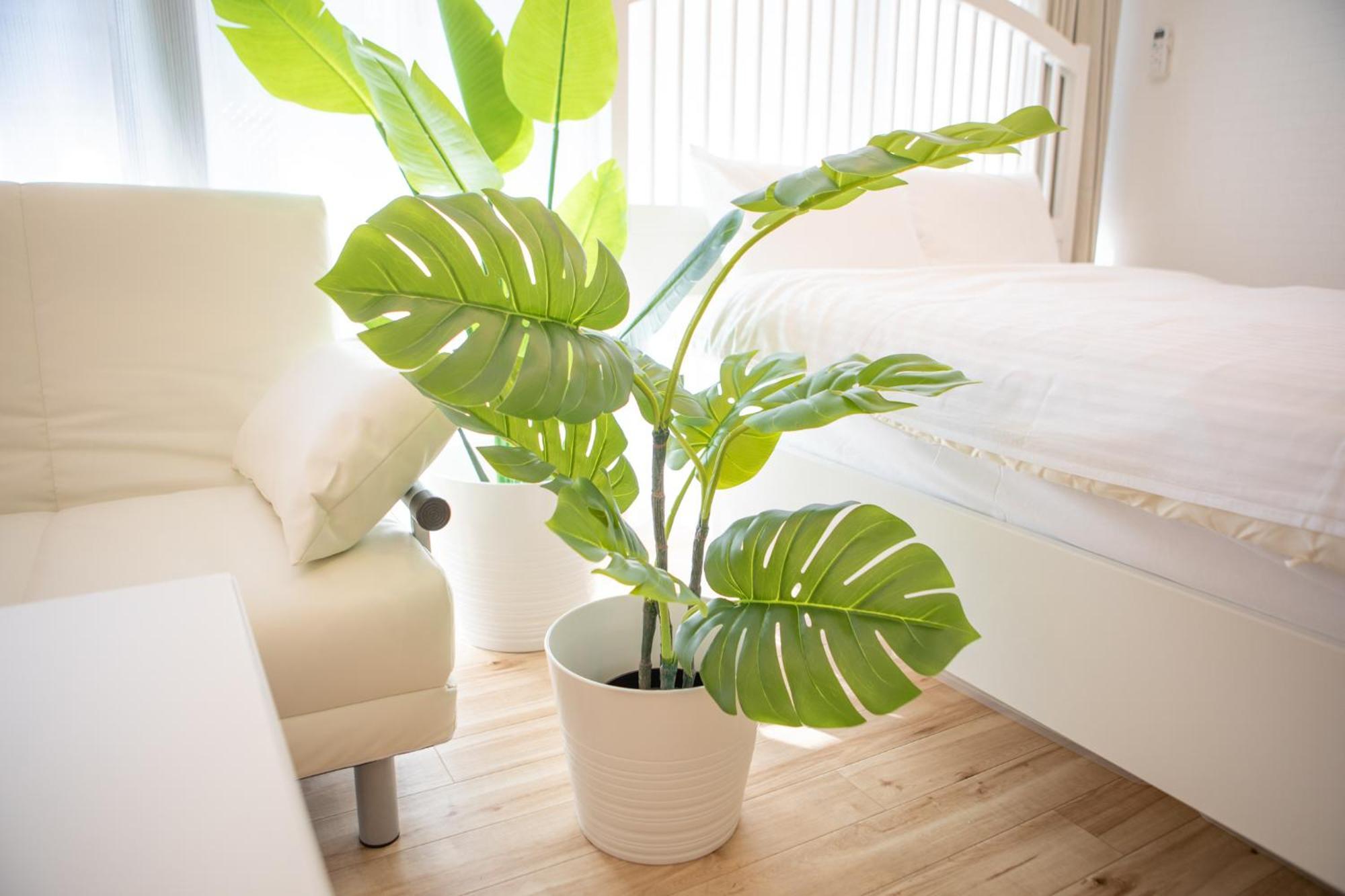 Komagome Cozy Room โตเกียว ห้อง รูปภาพ